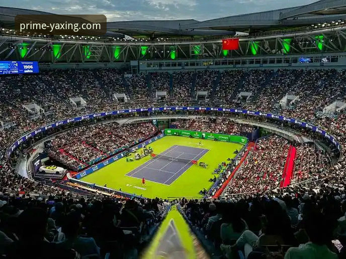 3个视角解读：顶级赛事背后的“不确定性”与移动观赛新趋势